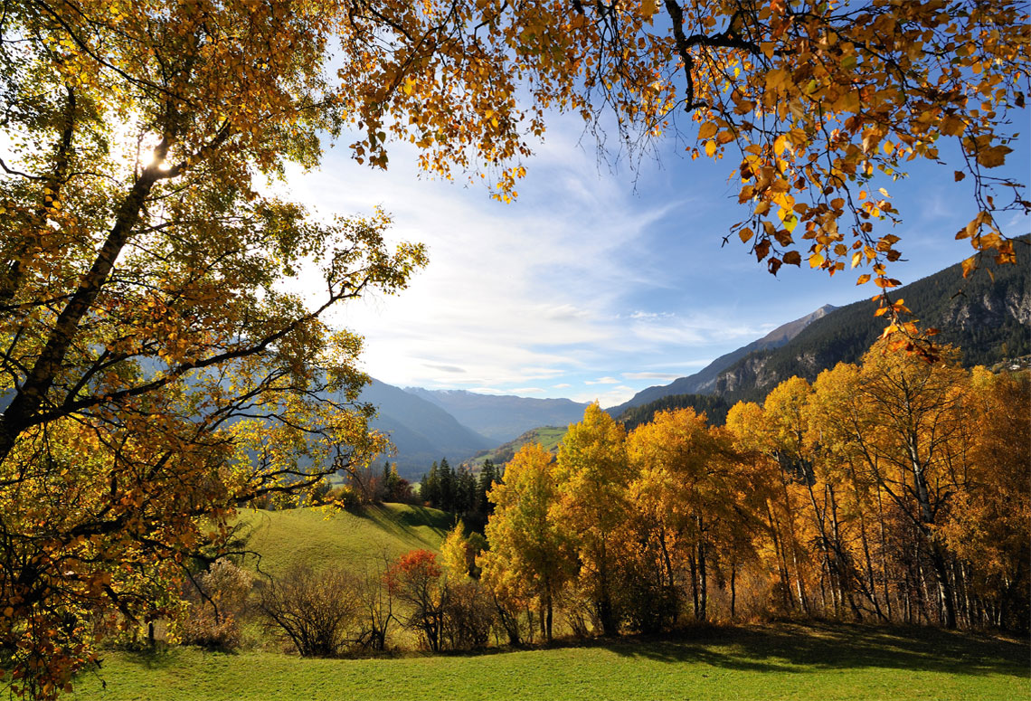 Albula region landscape