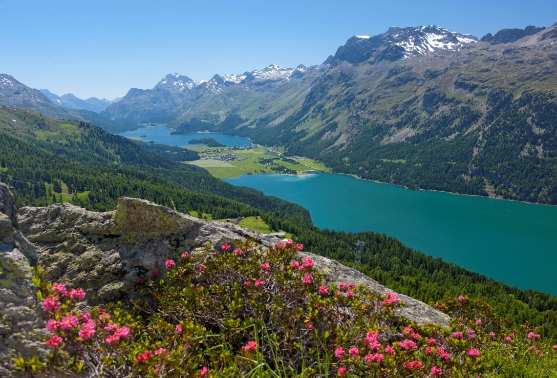 View over Sils