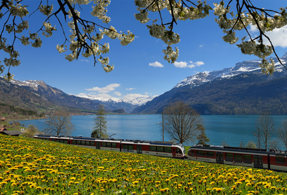 Lake Brienz