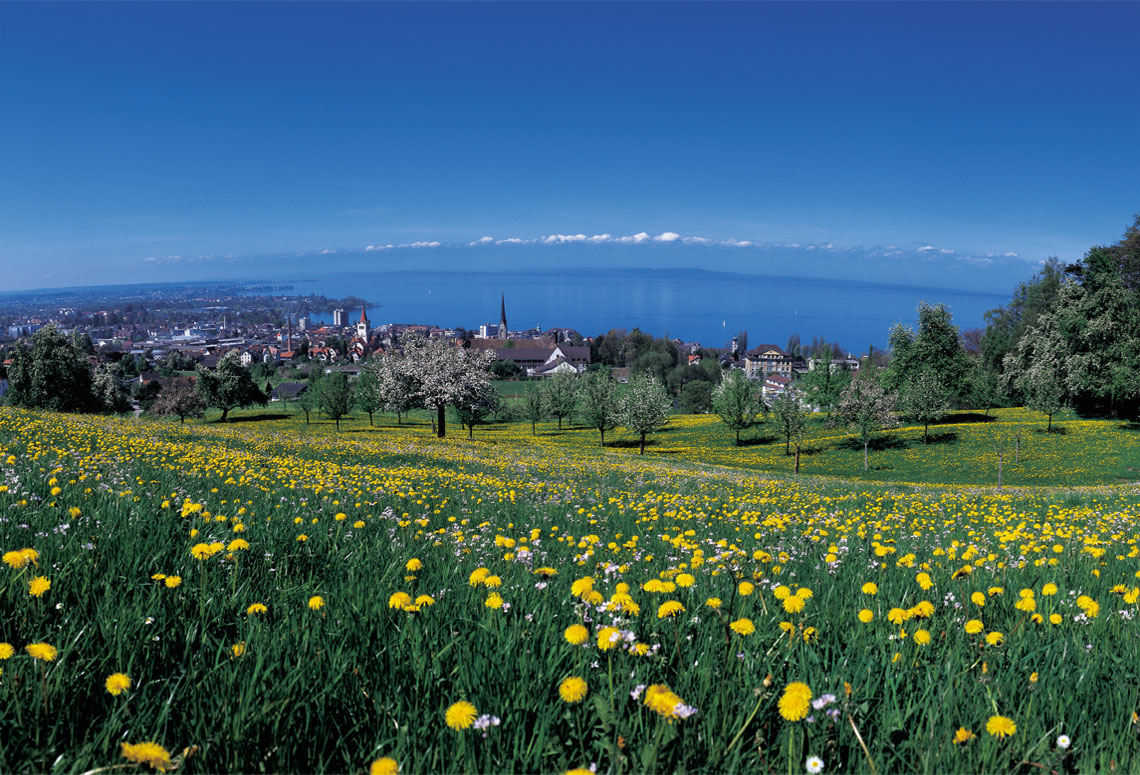 Lake Constance