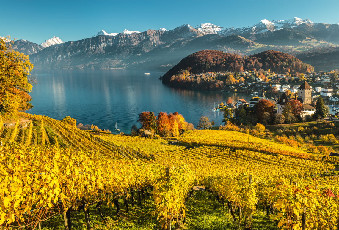 Lake Thun