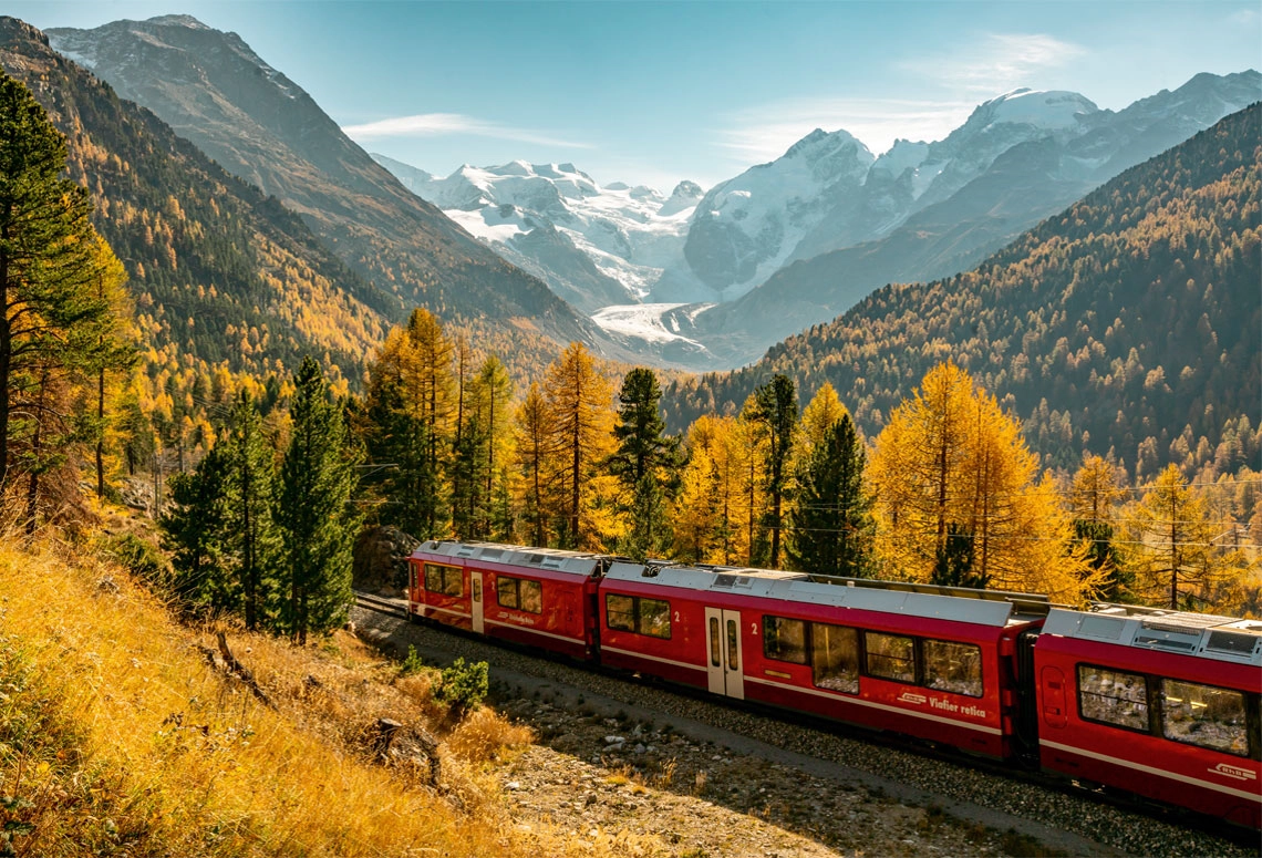Golden autumn larches beside the tracks