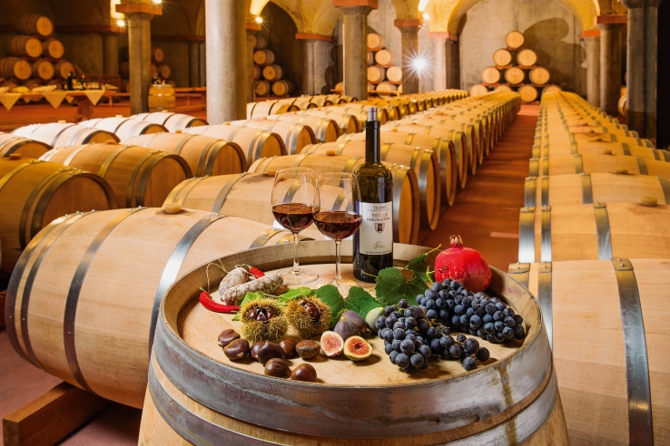 Typical Ticino wine tasting